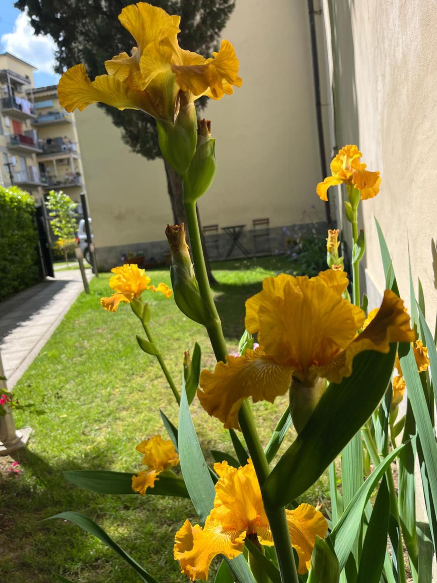 Dalu Florence Apartment Lucilla - Private Car Park 15 Minutes To The City Center Exteriör bild